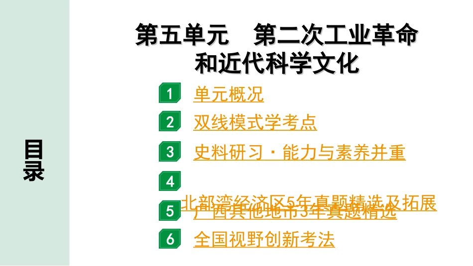 中考北部湾经济区历史1.第一部分    北部湾经济区中考考点研究_5.板块五　世界近代史_5.第五单元　第二次工业革命和近代科学文化.ppt_第2页