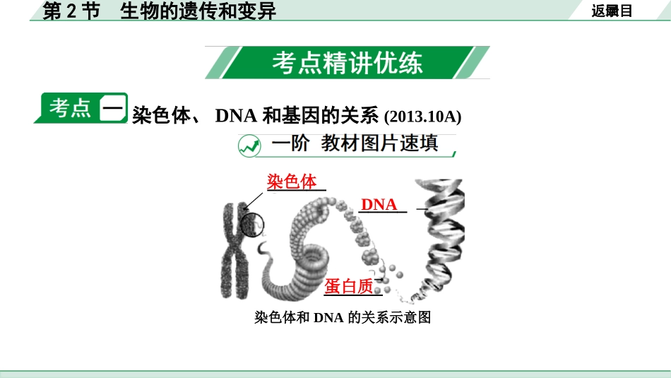 中考江西生物学01.第一部分 江西中考考点研究_07.主题七 生物的生殖、发育与遗传_02.第2节 生物的遗传和变异.pptx_第3页