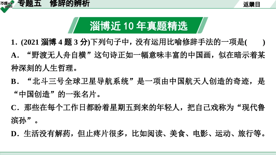 中考淄博语文1.第一部分  基础知识积累与运用_5.专题五  修辞的辨析_专题五　修辞的辨析.ppt_第2页