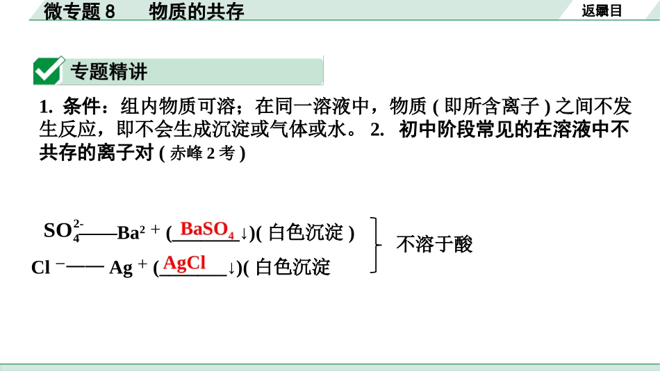 中考内蒙古化学02.第一部分  内蒙古中考考点研究_08.第八章　常见的酸、碱、盐_02.微专题8　 物质的共存.pptx_第2页