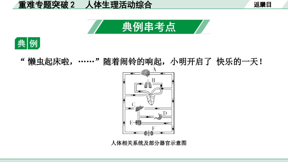 中考江西生物学01.第一部分 江西中考考点研究_05.主题五 生物圈中的人_07.重难专题突破2 人体生理活动综合.pptx_第2页