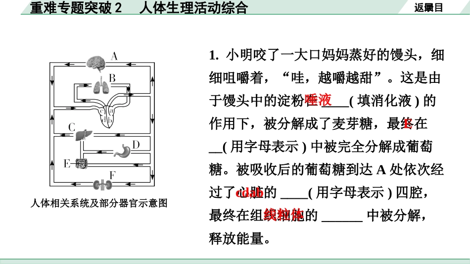 中考江西生物学01.第一部分 江西中考考点研究_05.主题五 生物圈中的人_07.重难专题突破2 人体生理活动综合.pptx_第3页