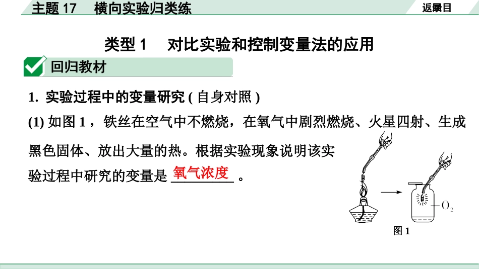 中考宁夏化学02.第一部分　宁夏中考考点研究_17.主题17　横向实验归类练_主题17　横向实验归类练.pptx_第2页