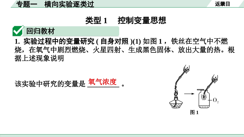 中考内蒙古化学03.第二部分  内蒙古中考专题突破_01.专题一　横向实验逐类过.pptx_第2页