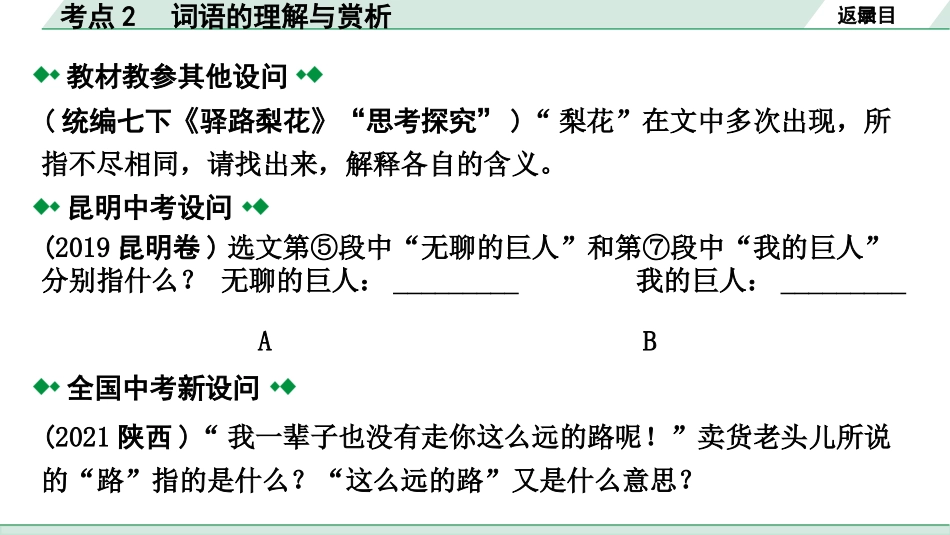 中考云南语文4.第四部分  现代文阅读_1.专题一  记叙文阅读_考点“1 对 1”讲练_考点2  词语的理解与赏析.pptx_第3页