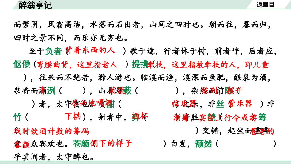 中考沈阳语文2.第二部分  古诗文阅读_2.专题二  文言文阅读_3.三阶  文言文比较阅读群文攻关练_3.醉翁亭记.pptx_第3页