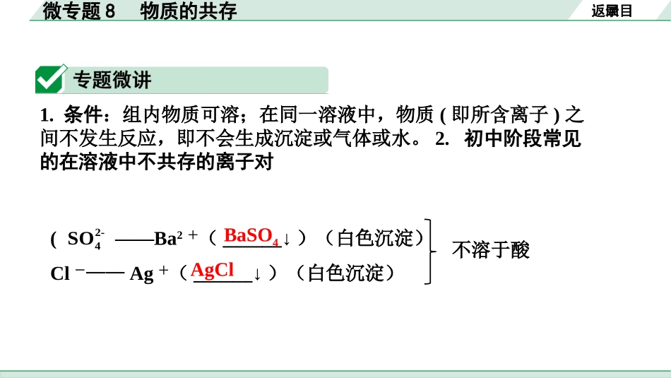 中考湖南化学02.第一部分　湖南中考命题点研究_11.第十一单元　盐　化肥_02.微专题8　物质的共存.pptx_第2页