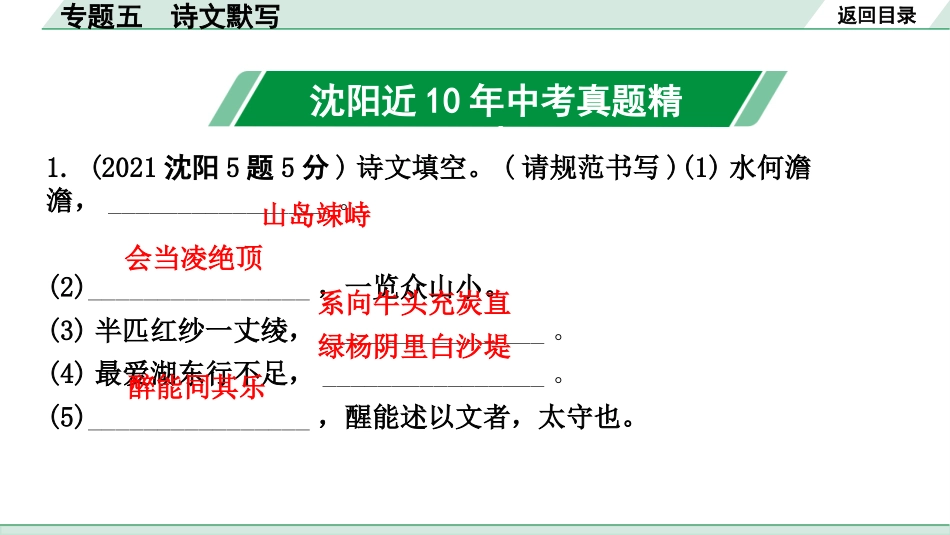 中考沈阳语文1.第一部分  积累与运用_5.专题五  诗文默写_专题五  诗文默写.pptx_第2页