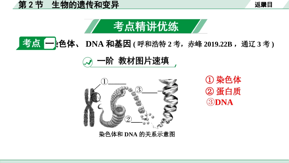 中考内蒙古生物学01.第一部分  内蒙古中考考点研究_07.主题七　生物的生殖、发育与遗传_03.第2节　生物的遗传和变异.pptx_第3页