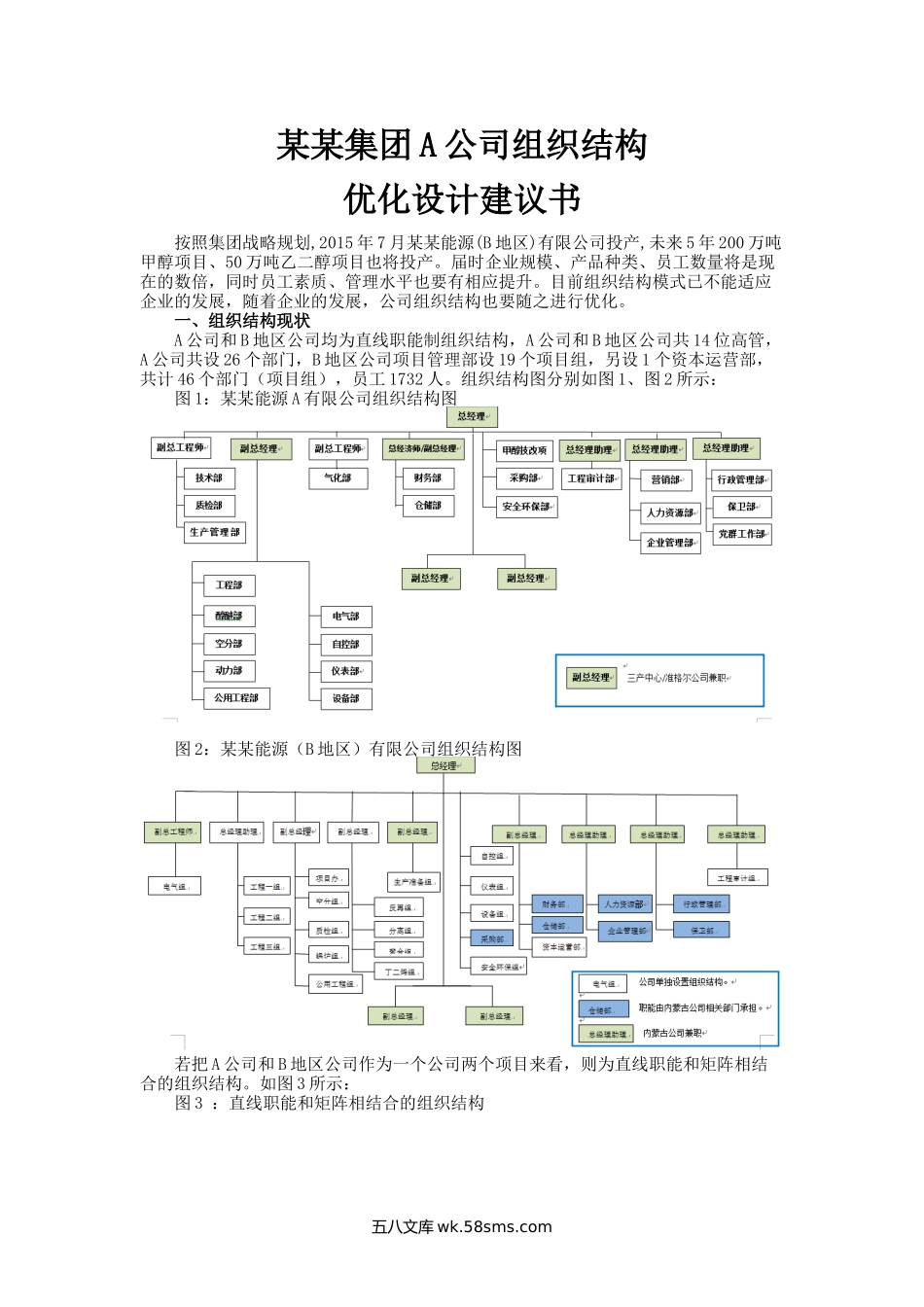 某某集团公司组织结构优化建议书.docx_第1页