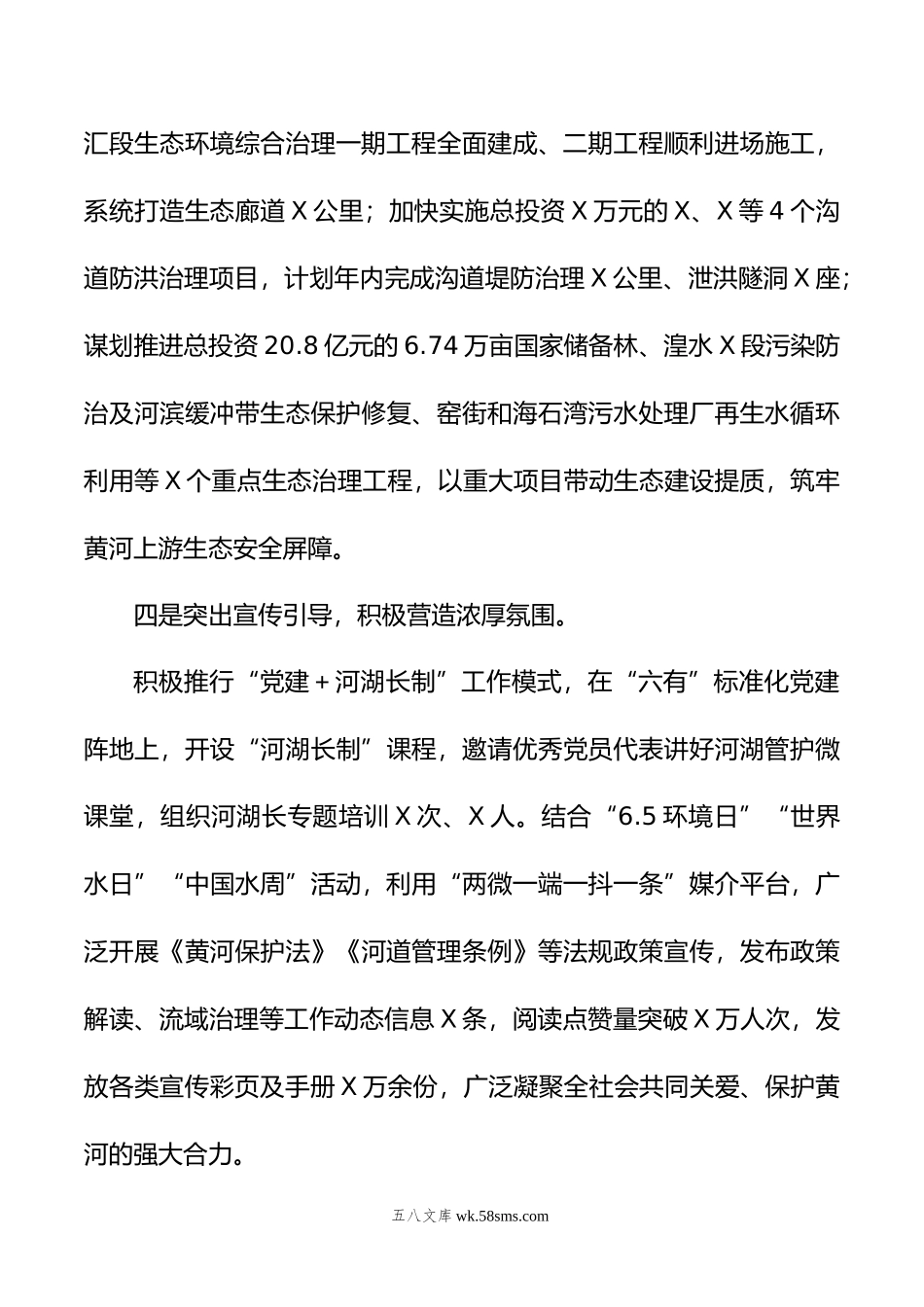 在全市年河湖长制工作会议上的发言.doc_第3页