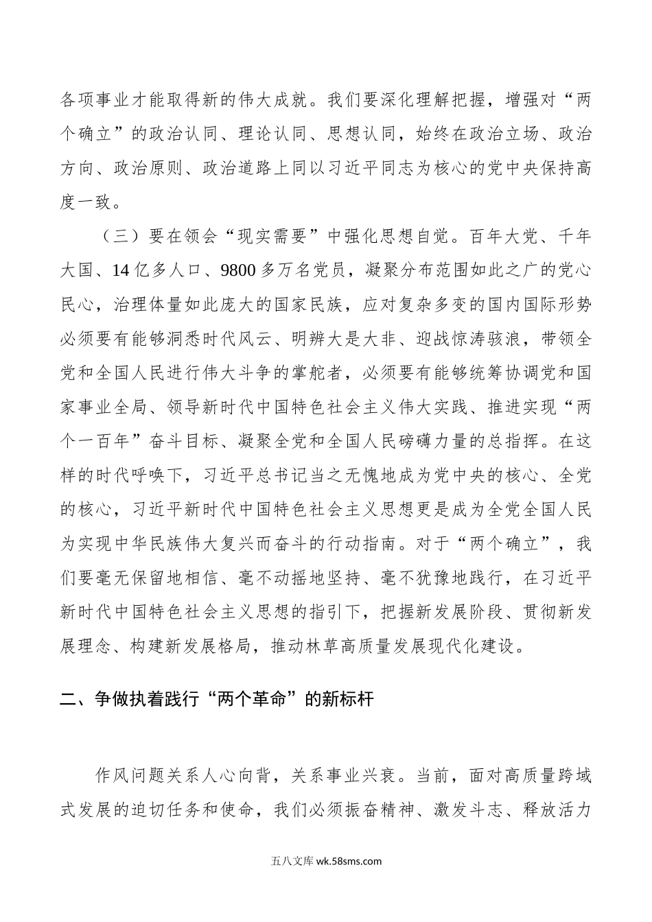 中心组集中学习会讲话两个确立作风革命效能革命安全生产工作.doc_第3页