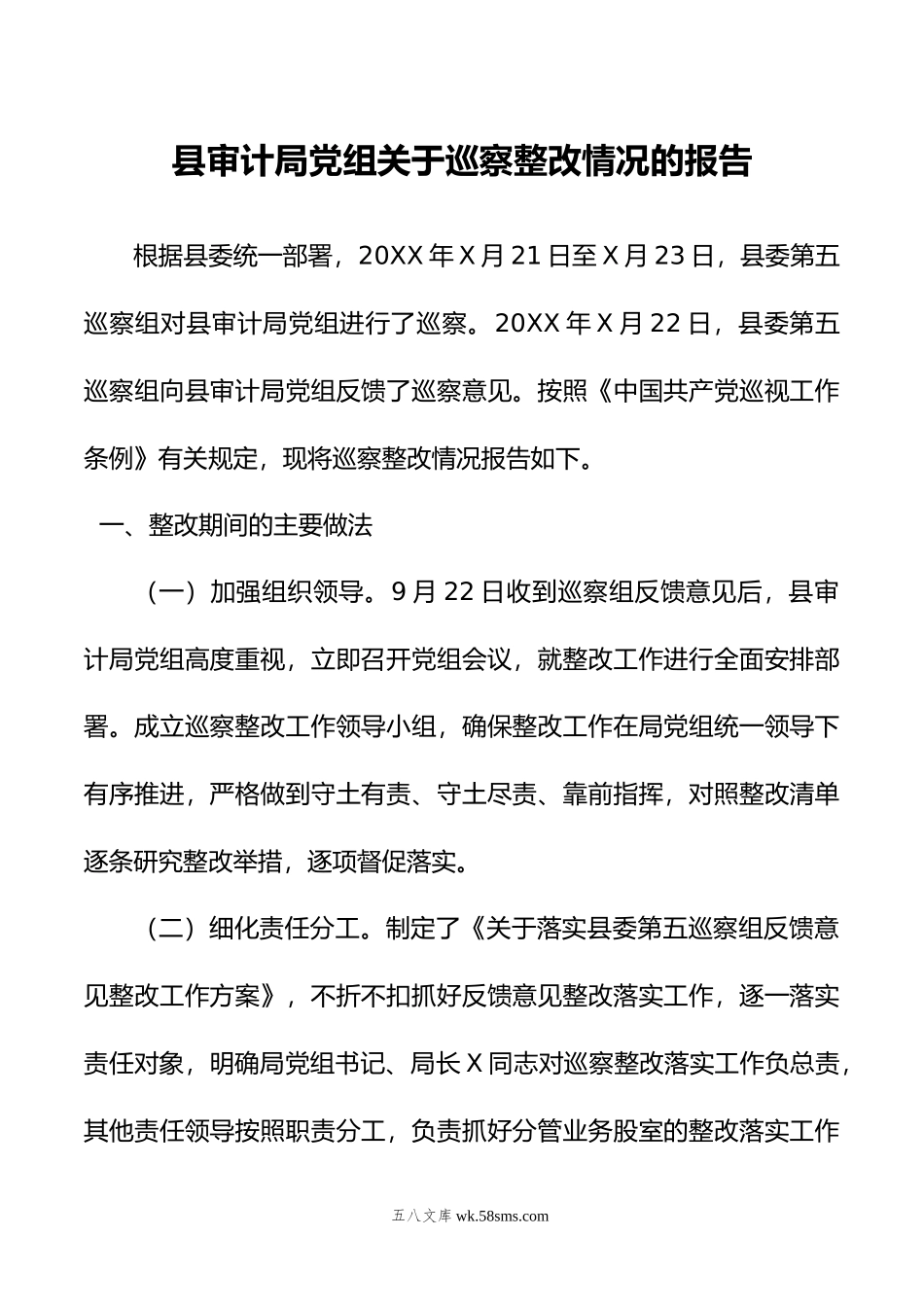 县审计局党组关于巡察整改情况的报告.doc_第1页