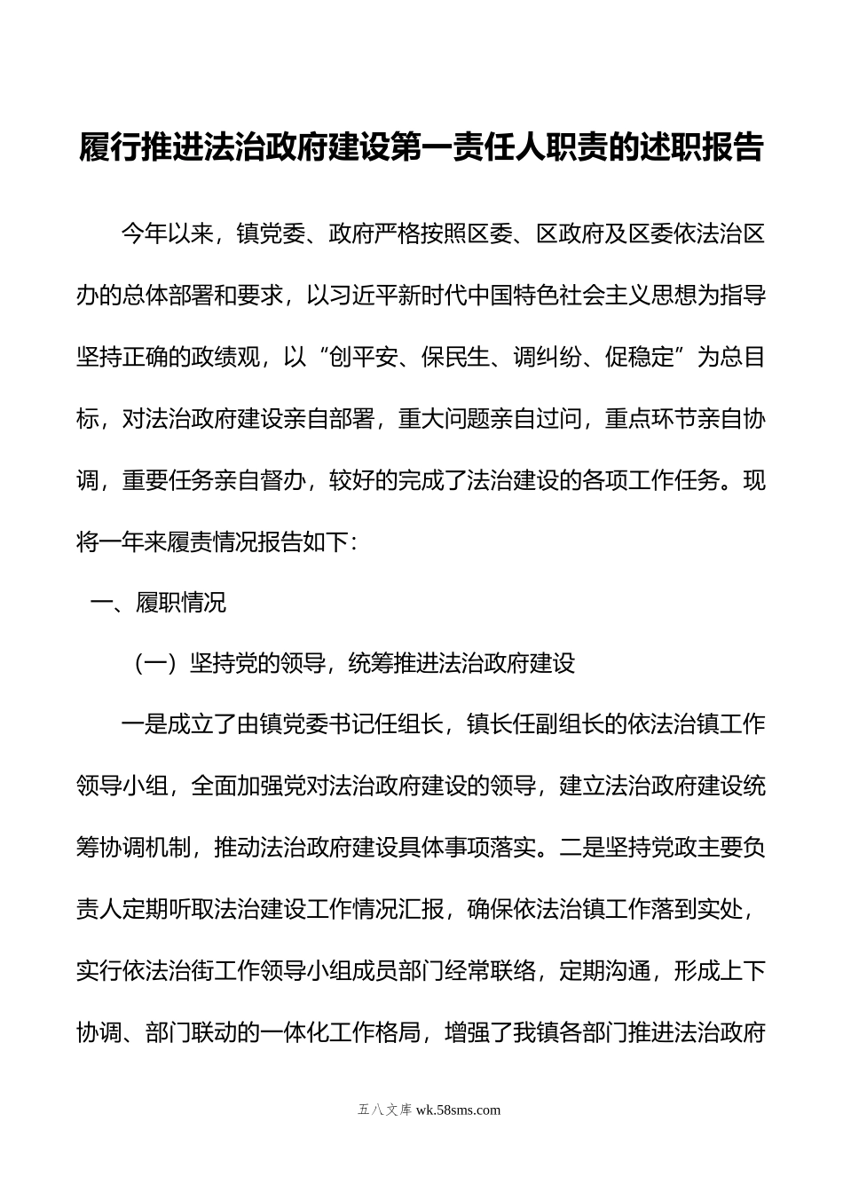 履行推进法治政府建设第一责任人职责的述职报告.doc_第1页