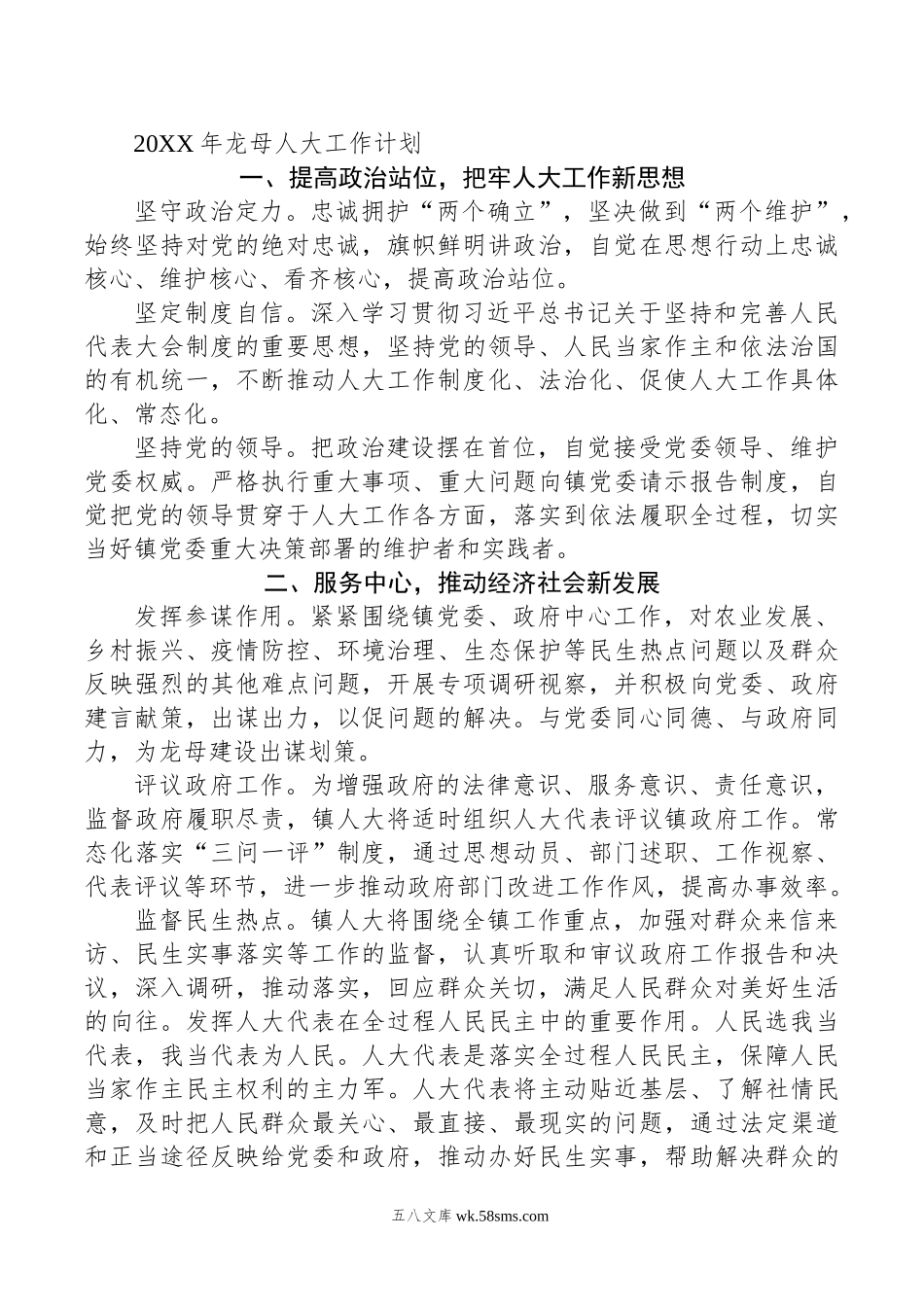 20XX年龙母人大工作计划.docx_第1页