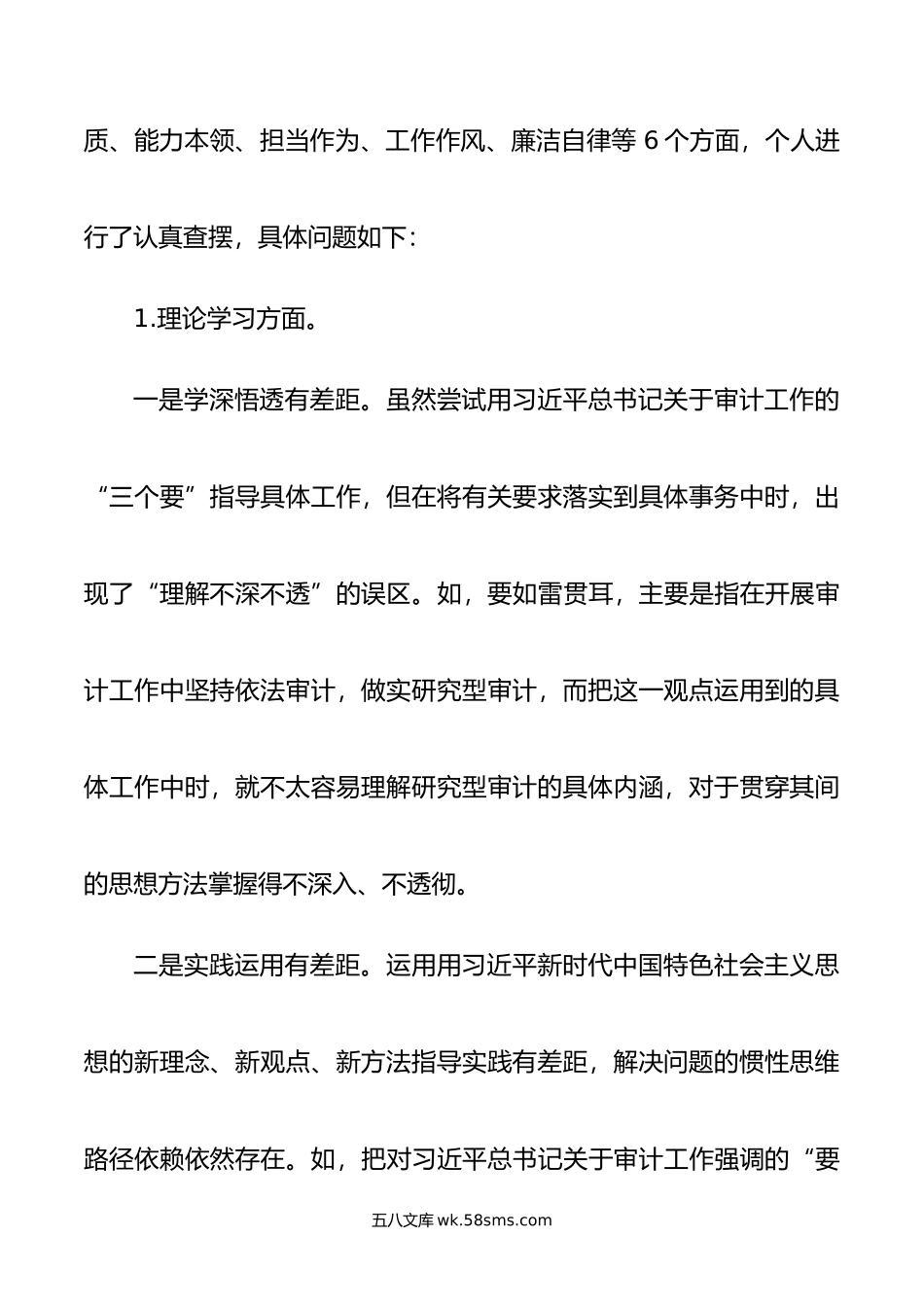 审计局党组书记主题教育民主生活会材料.doc_第2页