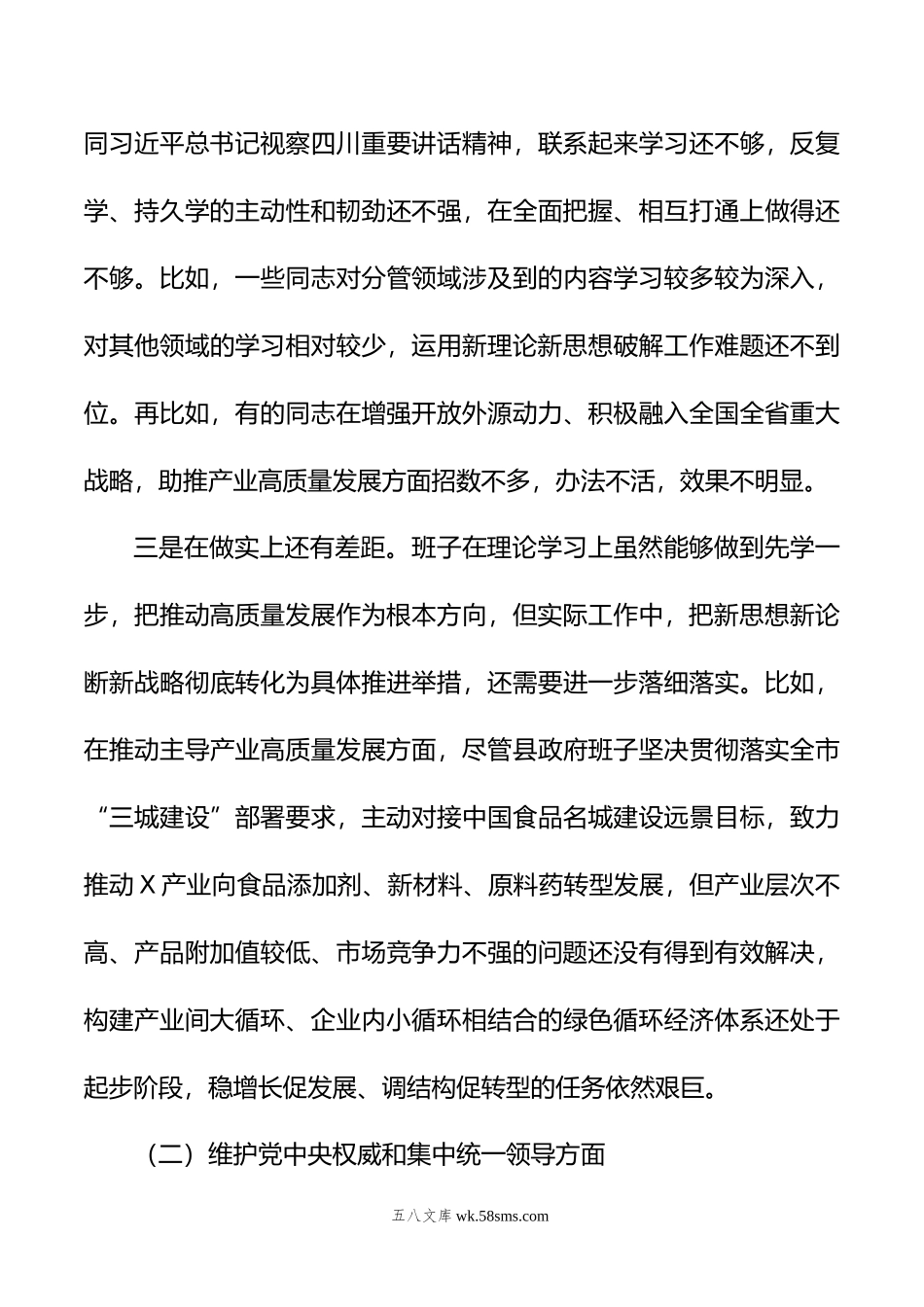 县政府领导班子年度专题民主生活会对照检查材料.doc_第3页