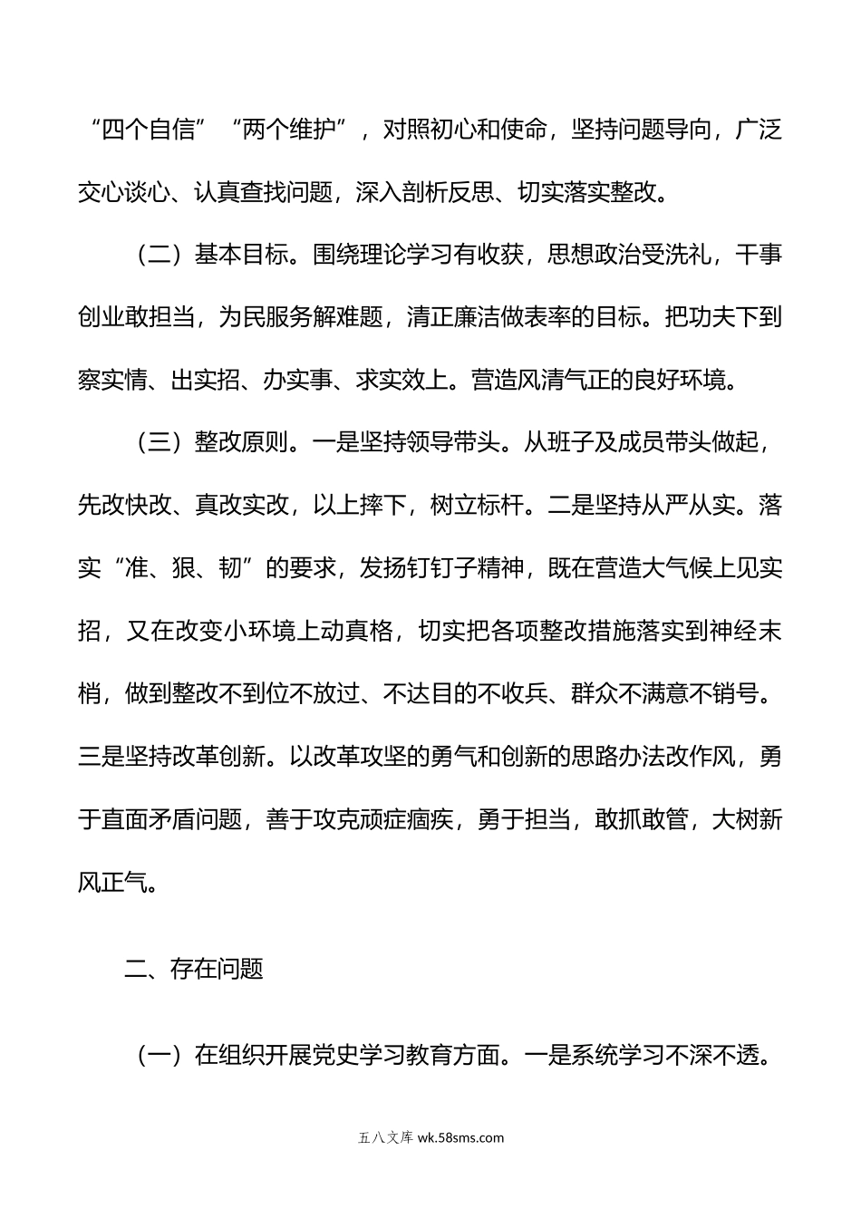 某某党支部年组织生活会班子整改方案.docx_第2页