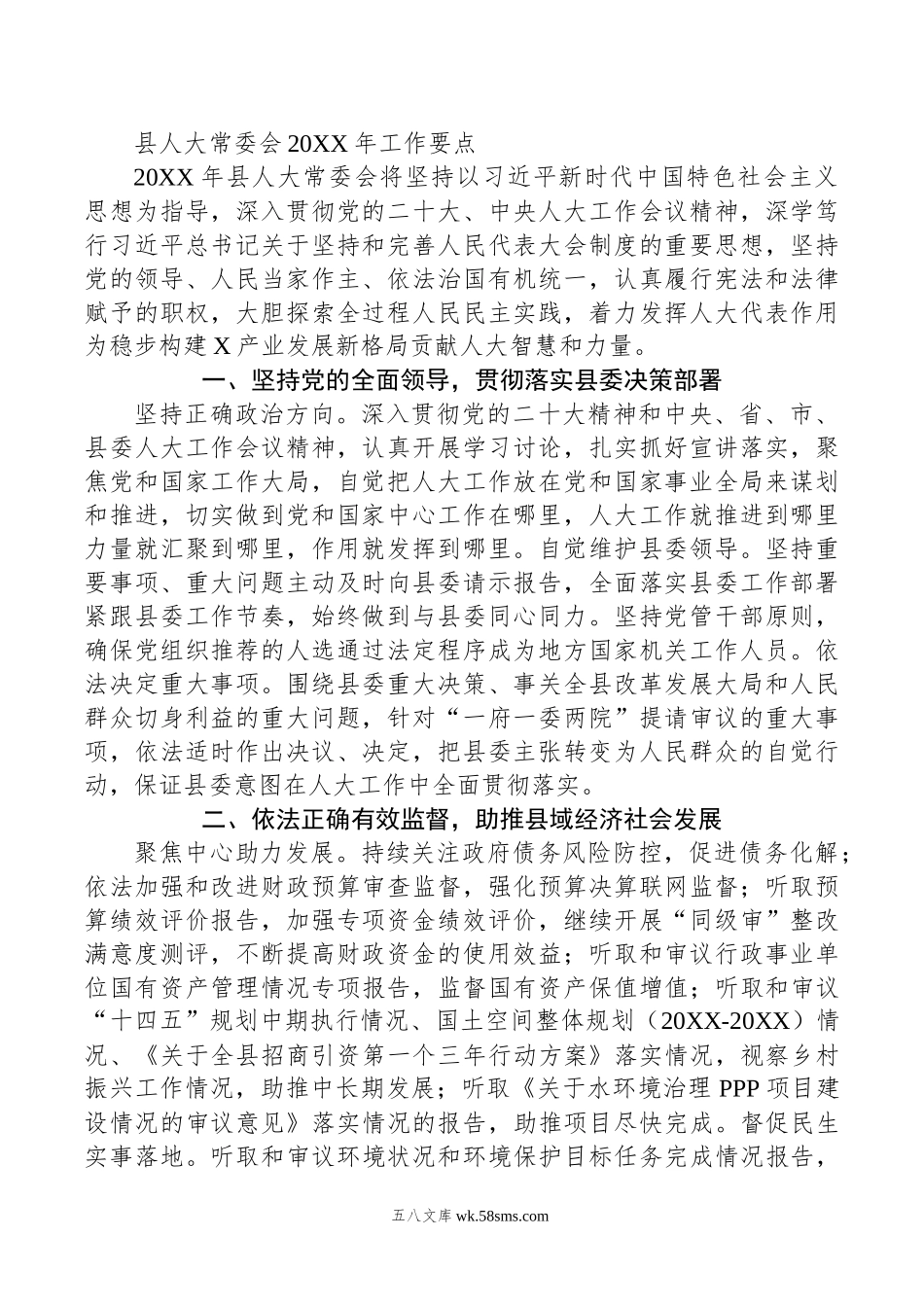 县人大常委会20XX年工作要点.docx_第1页