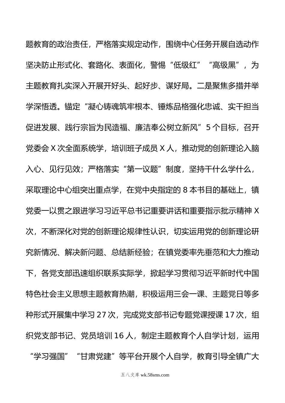 xxx镇学习贯彻年主题教育工作汇报.doc_第2页