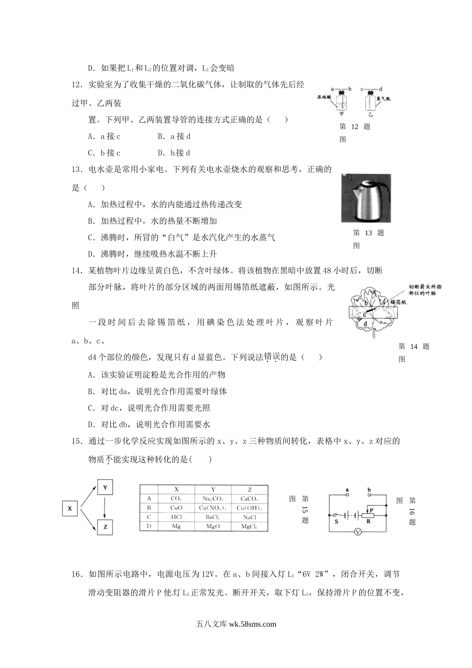 2017浙江省湖州市中考科学真题及答案.doc_第3页