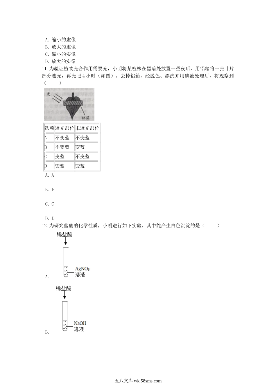 2019浙江省温州市中考科学真题及答案.doc_第3页