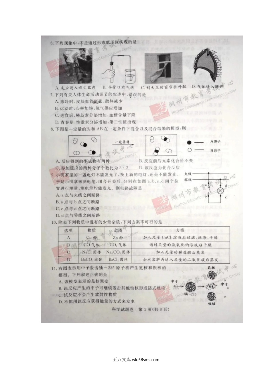 2020年浙江湖州中考科学真题及答案.doc_第2页