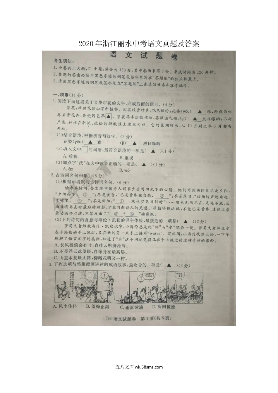 2020年浙江丽水中考语文真题及答案.doc_第1页