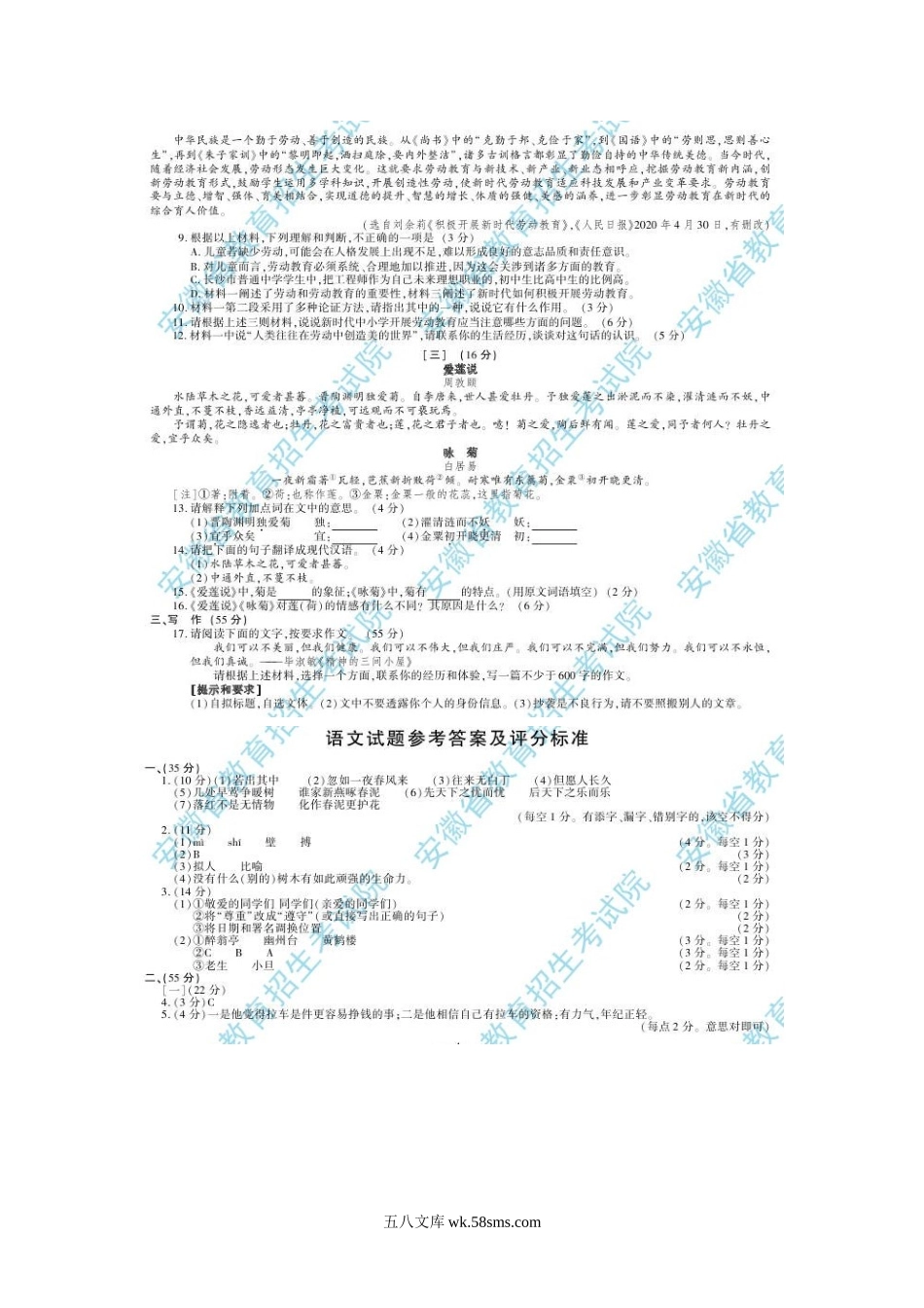 2020年安徽滁州中考语文真题及答案.doc_第3页