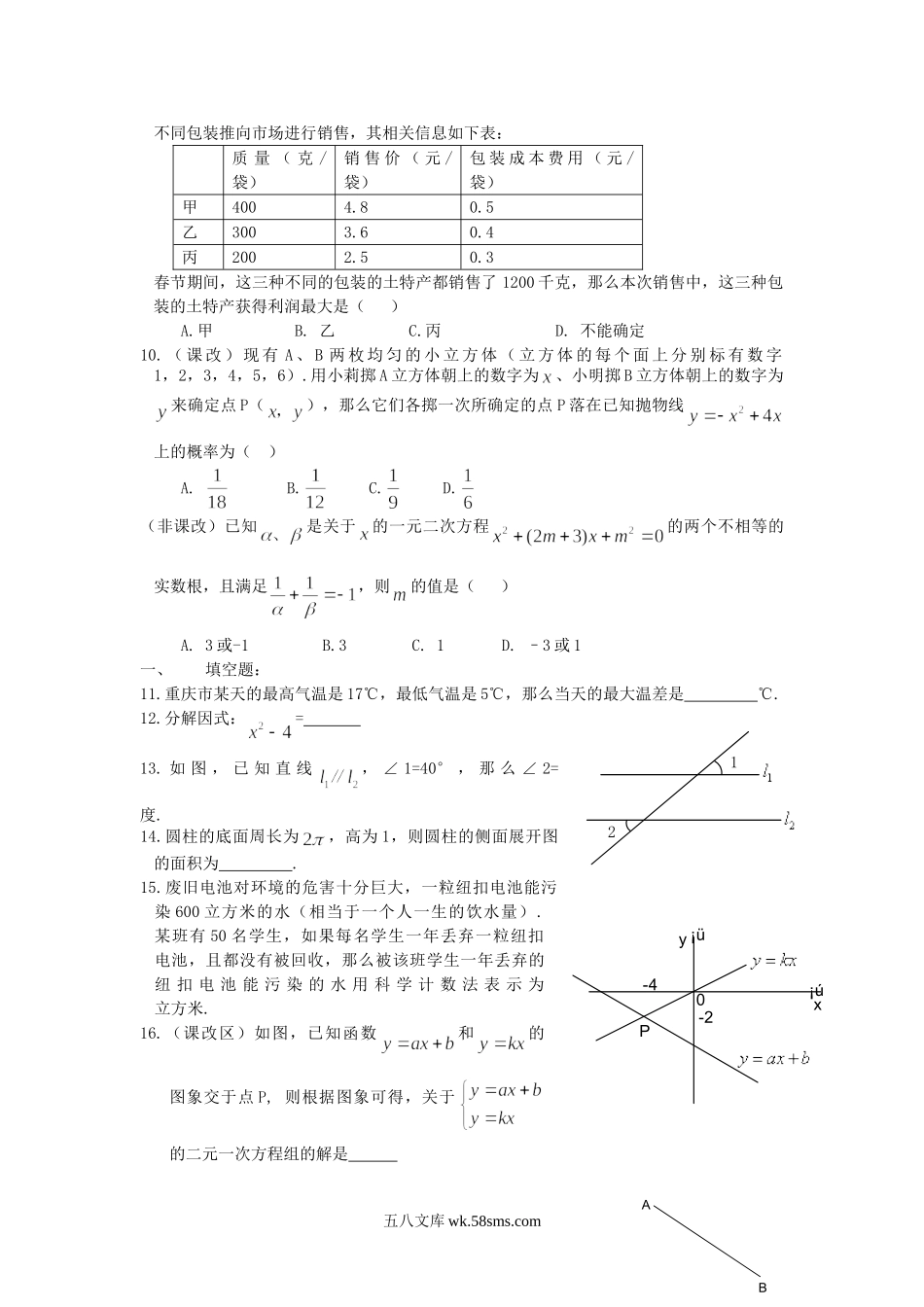 2006年重庆合川中考数学真题及答案.doc_第2页