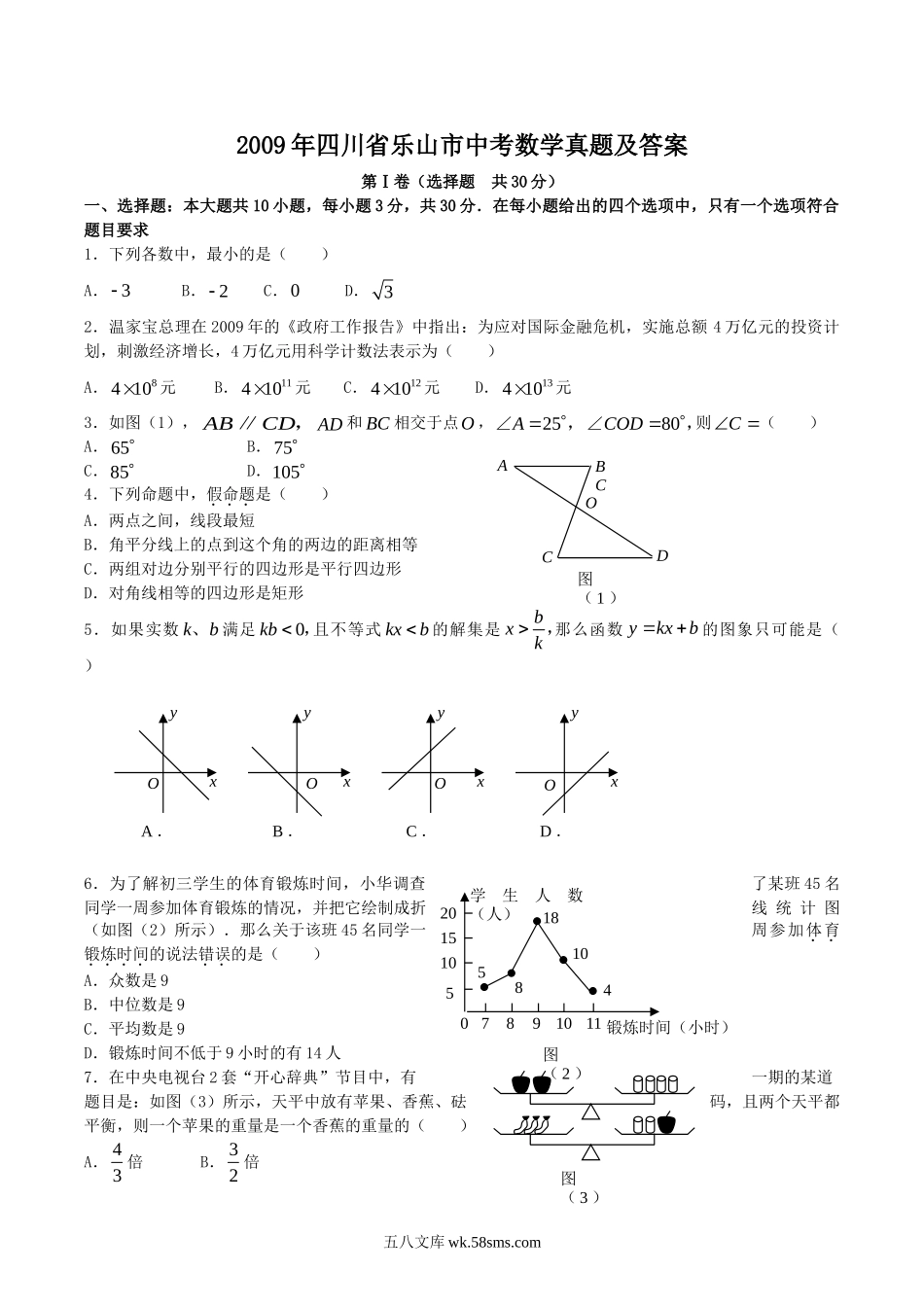 2009年四川省乐山市中考数学真题及答案.doc_第1页