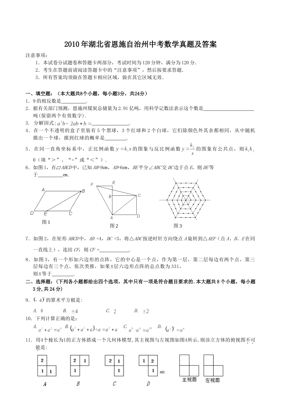 2010年湖北省恩施自治州中考数学真题及答案.doc_第1页