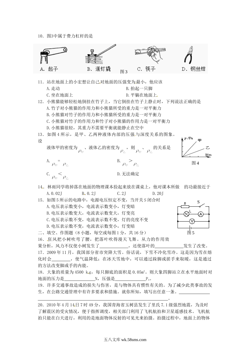 2010年福建省龙岩市中考物理真题及答案.doc_第2页