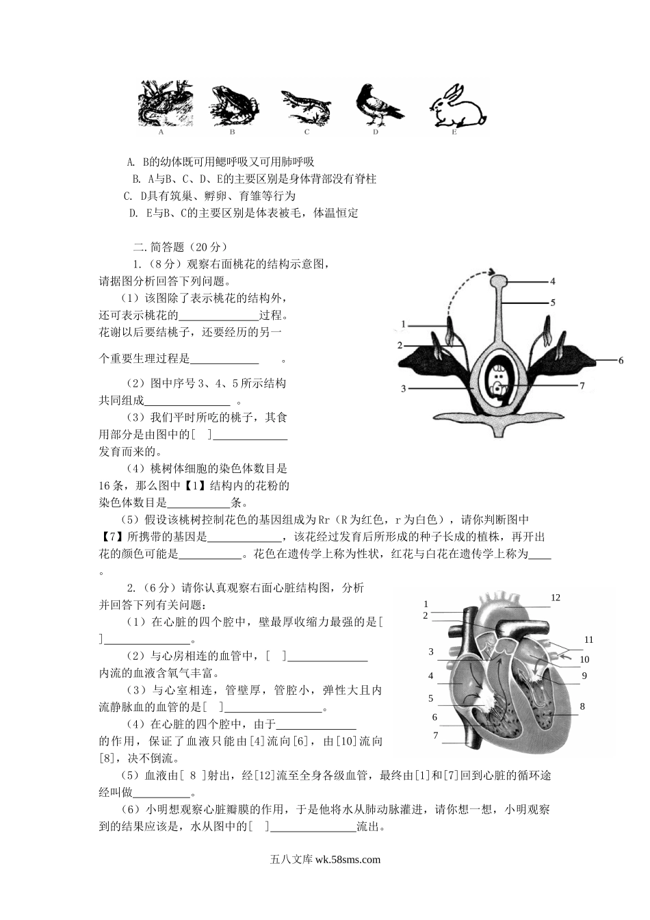 2010年四川省内江市中考生物真题及答案.doc_第2页