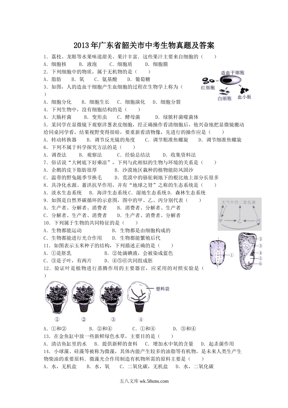 2013年广东省韶关市中考生物真题及答案.doc_第1页