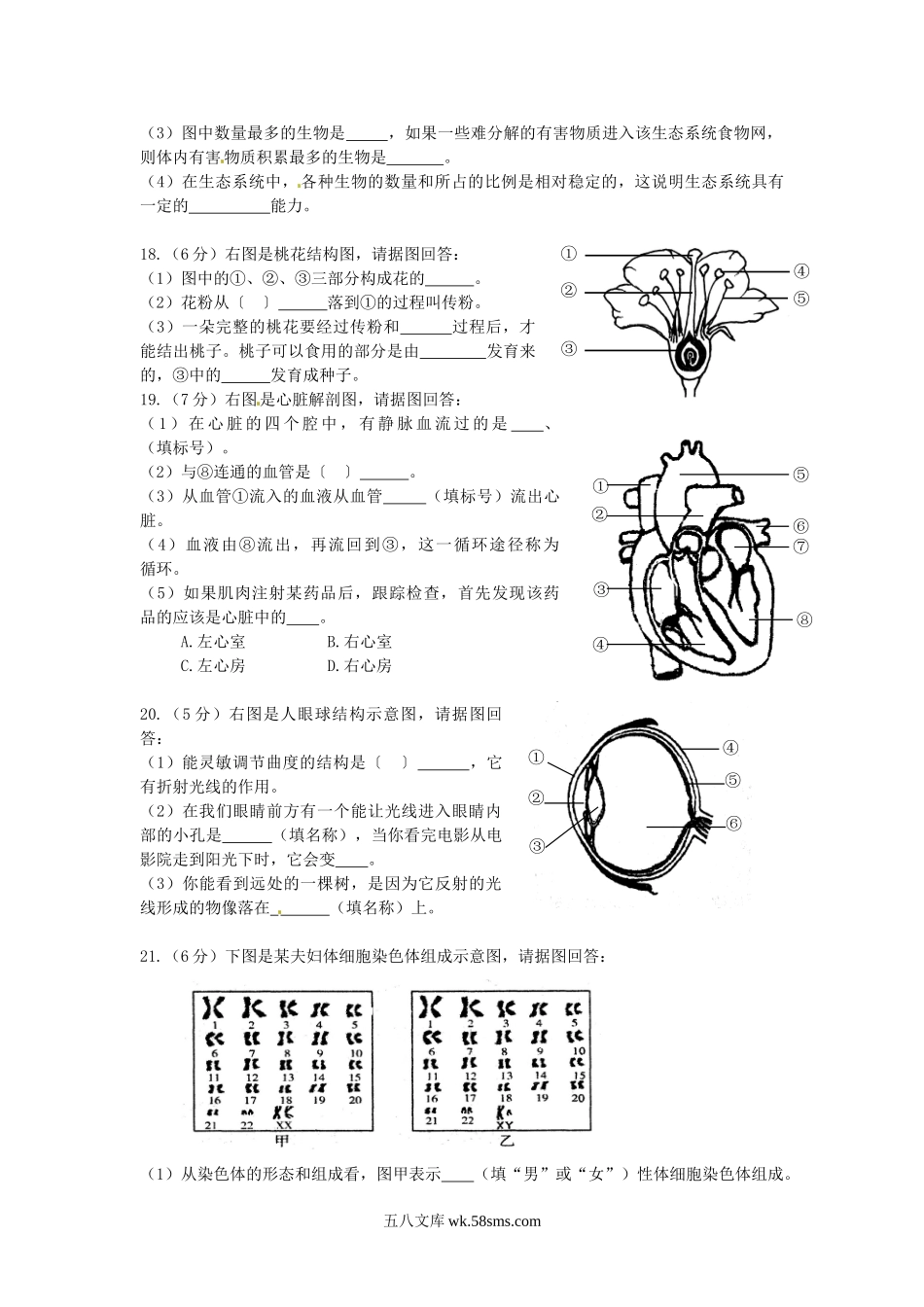 2013年辽宁省营口市中考生物真题及答案.doc_第3页