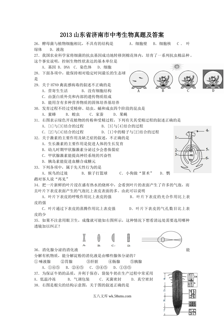 2013山东省济南市中考生物真题及答案.doc_第1页