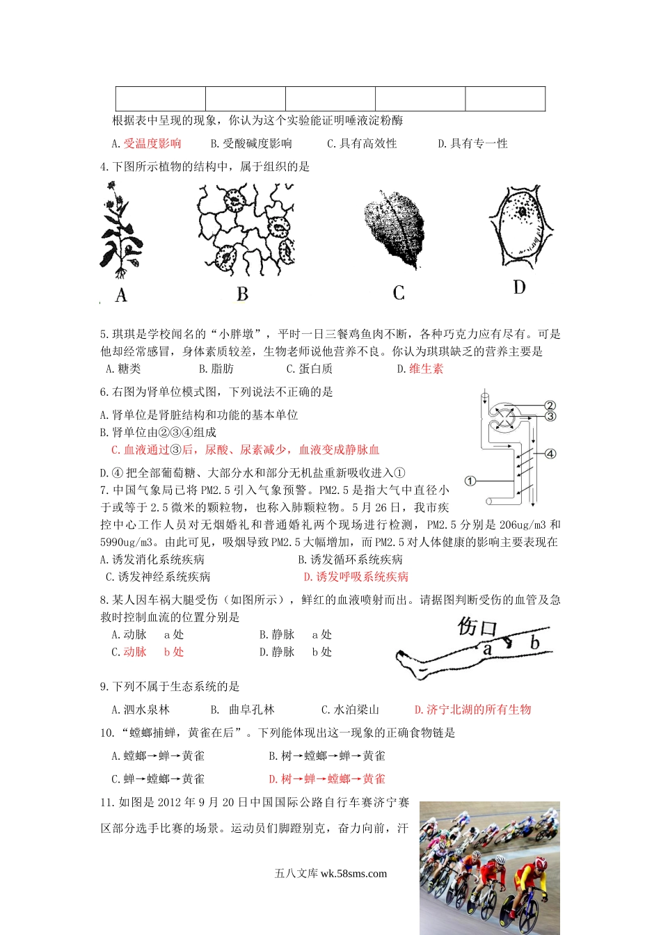 2013山东省济宁市中考生物真题及答案.doc_第2页