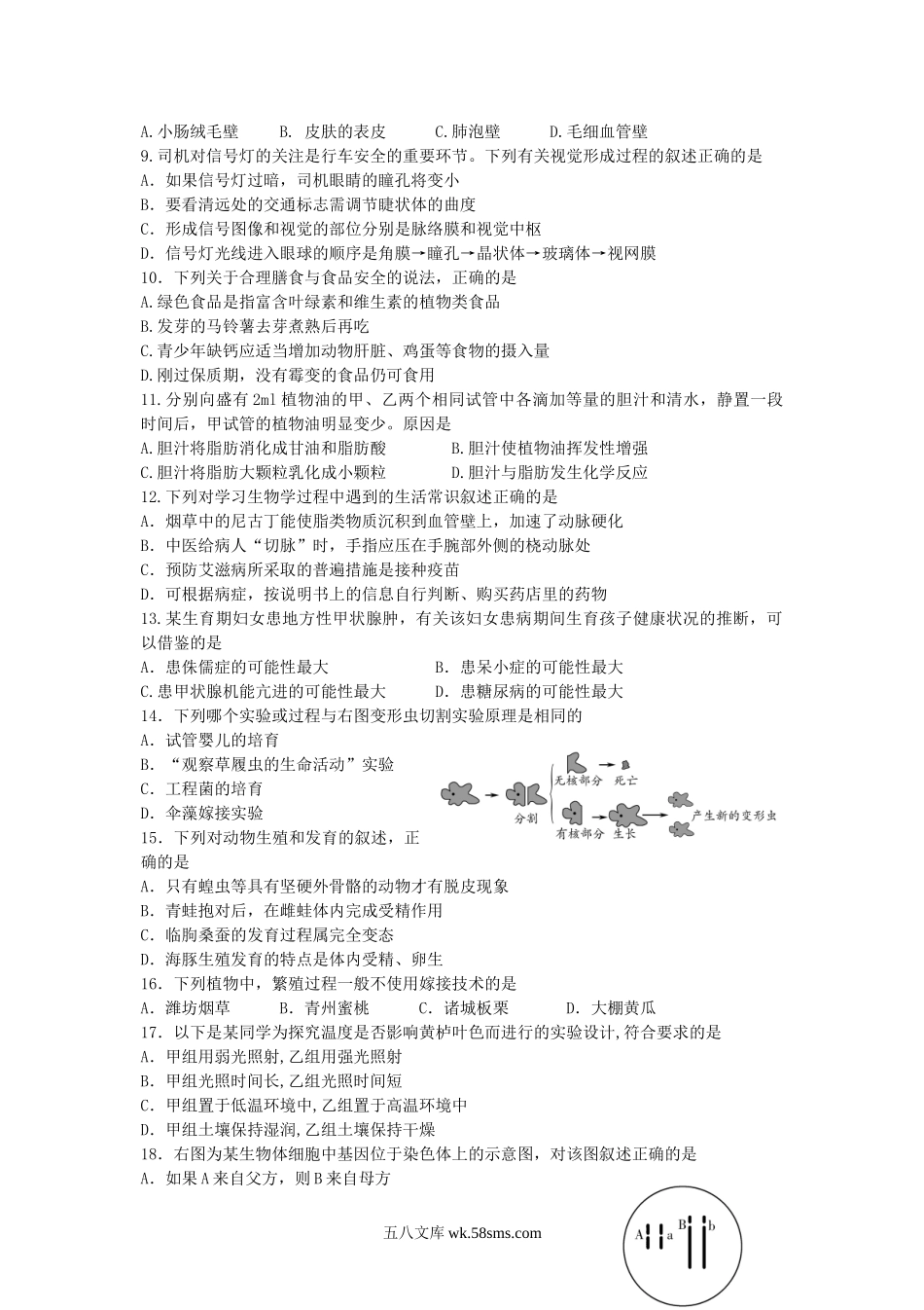 2013山东省潍坊市中考生物真题及答案.doc_第2页