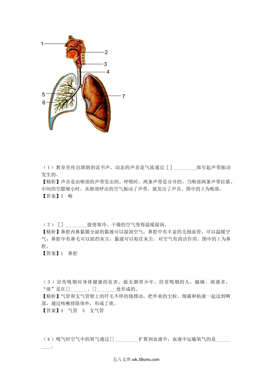 2015年宁夏固原中考生物真题及答案.doc_第3页