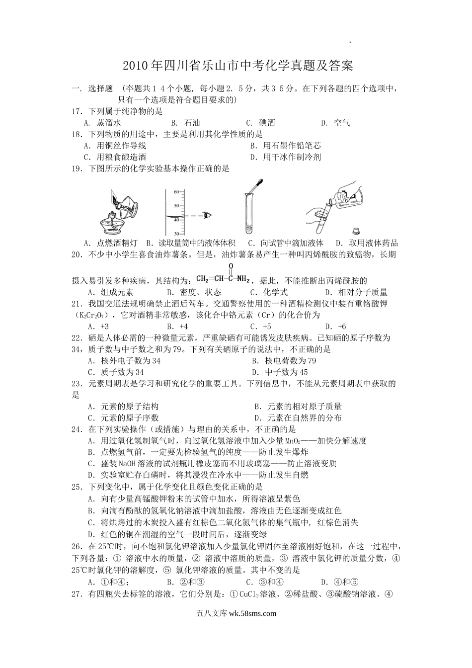 2010年四川省乐山市中考化学真题及答案.doc_第1页