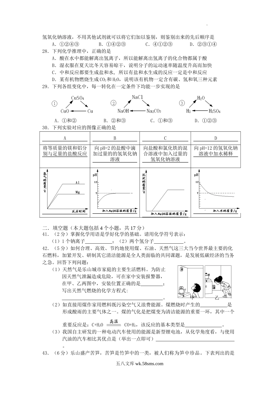 2010年四川省乐山市中考化学真题及答案.doc_第2页