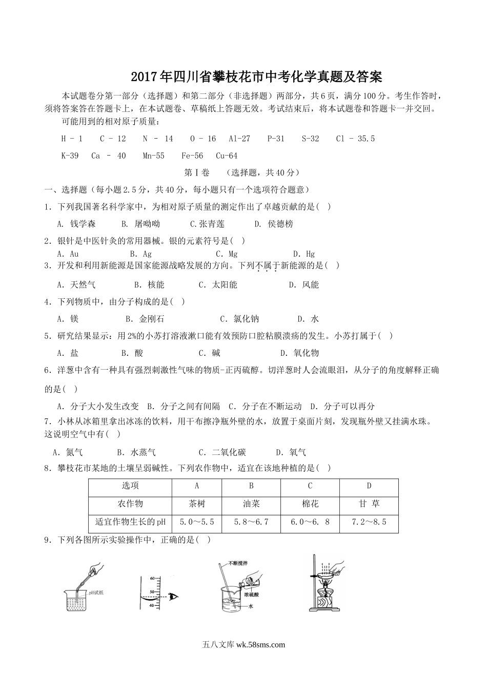 2017年四川省攀枝花市中考化学真题及答案.doc_第1页