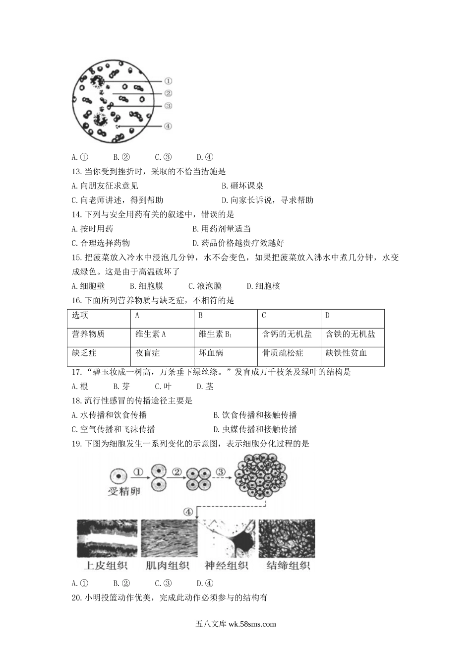 2017年海南三亚中考生物真题及答案.doc_第2页