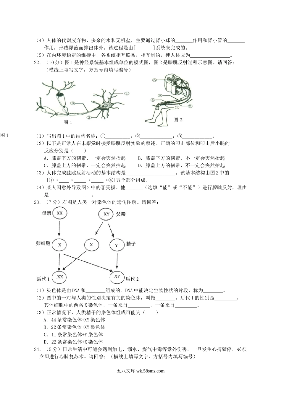 2017年上海奉贤中考生物真题及答案.doc_第3页