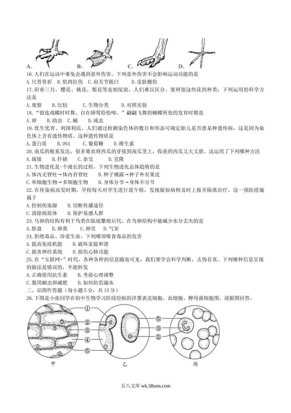 2018年湖南省长沙市中考生物真题及答案.doc_第2页