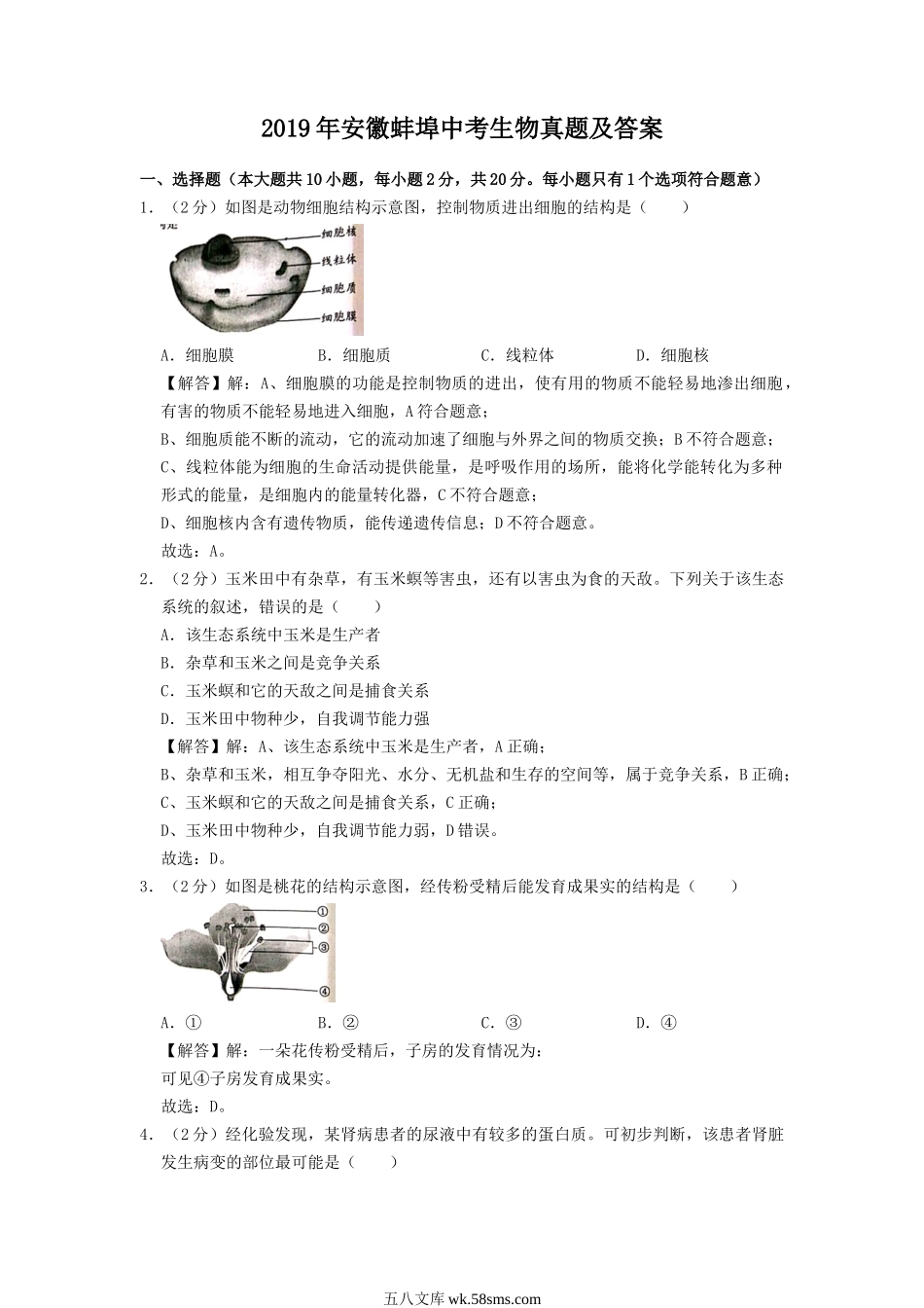 2019年安徽蚌埠中考生物真题及答案.doc_第1页