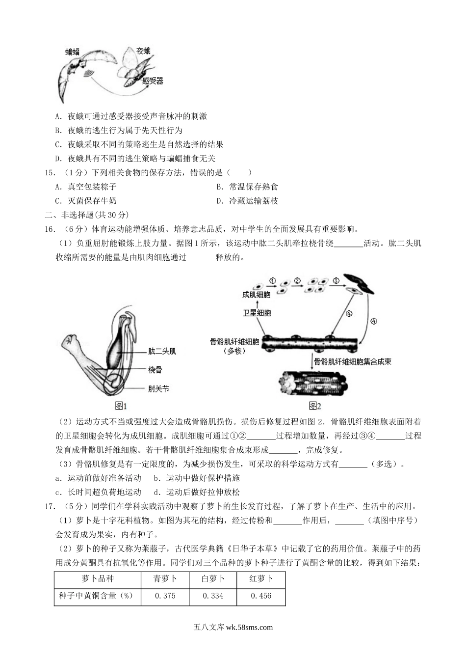 2019年北京大兴中考生物真题及答案.doc_第3页