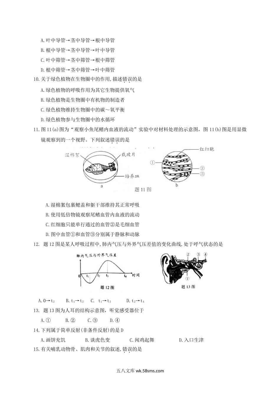 2019年广东省河源市中考生物试题与答案.doc_第2页