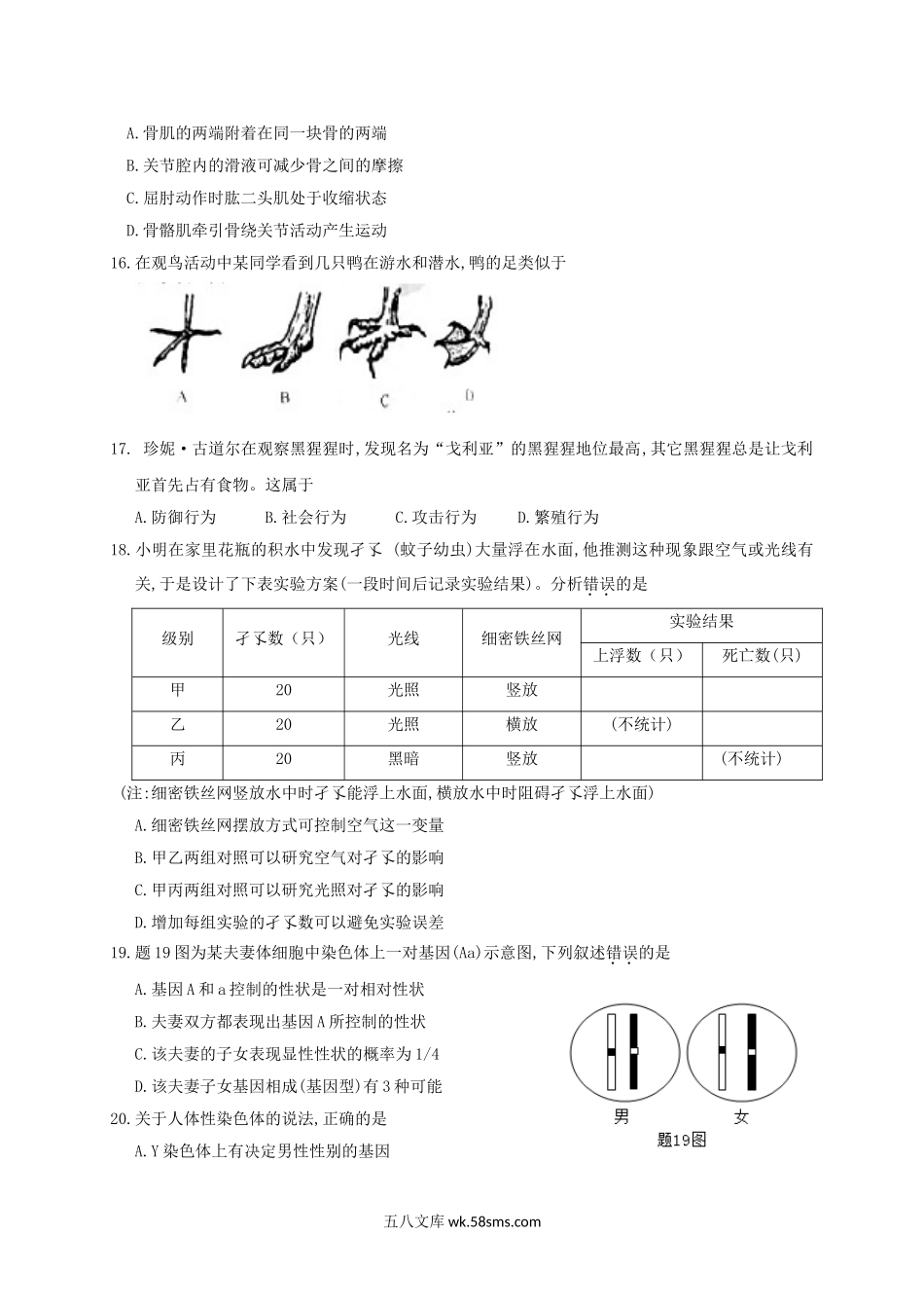 2019年广东省河源市中考生物试题与答案.doc_第3页